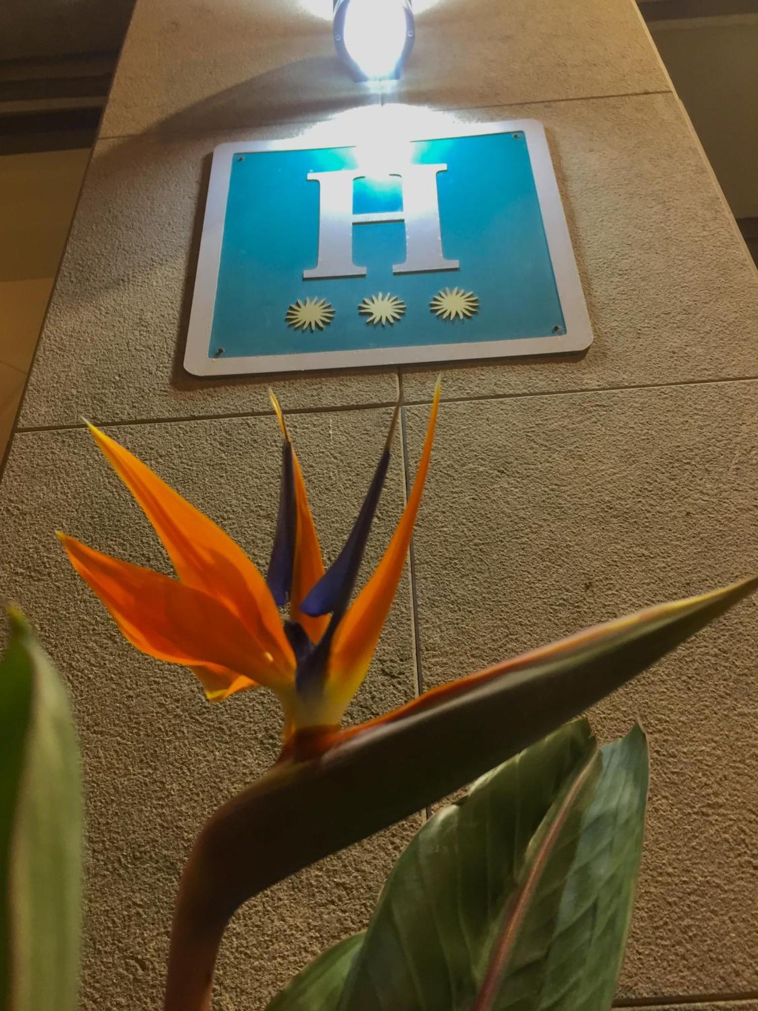 Hotel Stella Maris 블랑스 외부 사진